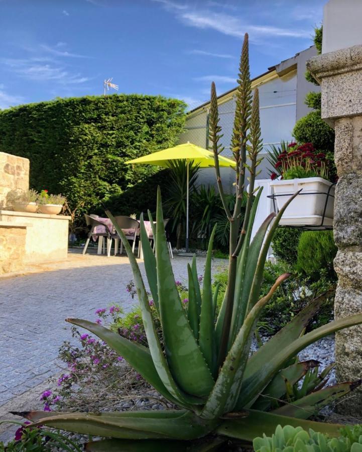 Casa Pedro E Ines Villa Viana do Castelo Bagian luar foto